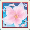 Cherry Blossoms Slotmachine