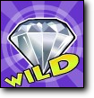 Wild Symbol