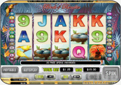 Birds of Paradise Slotmachine